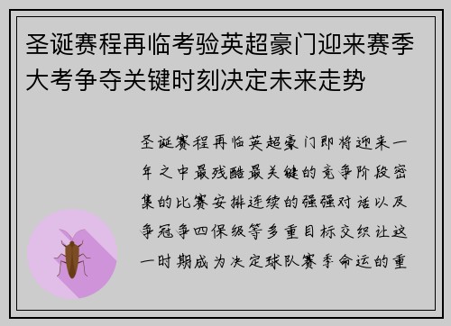 圣诞赛程再临考验英超豪门迎来赛季大考争夺关键时刻决定未来走势